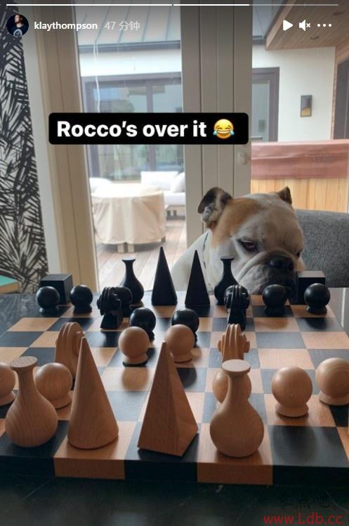 ɹȮRoccoƬҪ