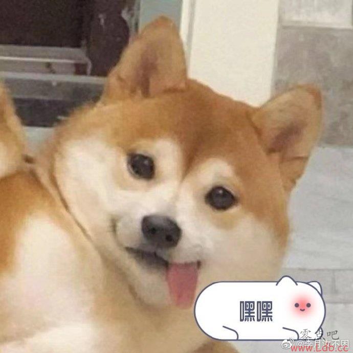 ꣺ҳˣѾ̤ĺ һȫԸ