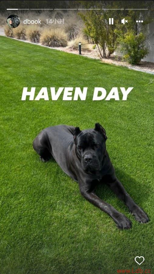 ˸insɹճHaven Day