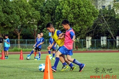 申花青训总监：俱乐部共9支梯队，每队年支出300万&总计投入数亿