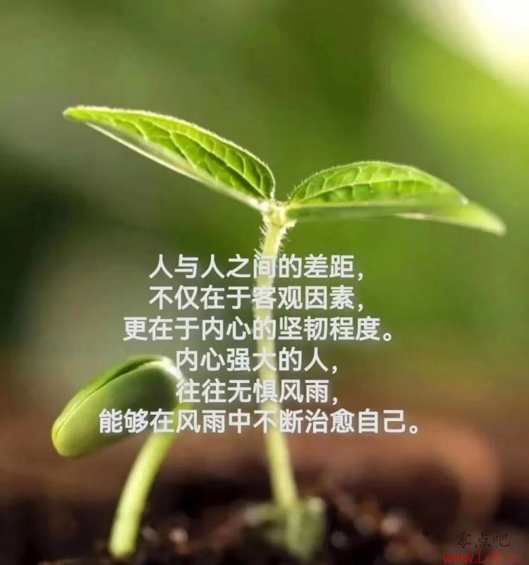 ɹգǿ ޾