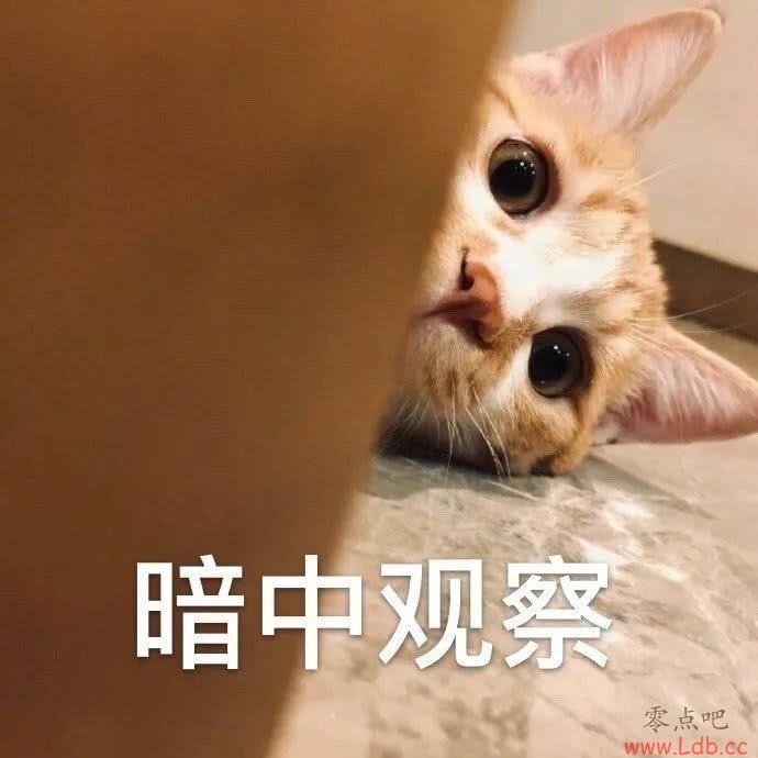 ʿͬճս лǰ6 ʿ8