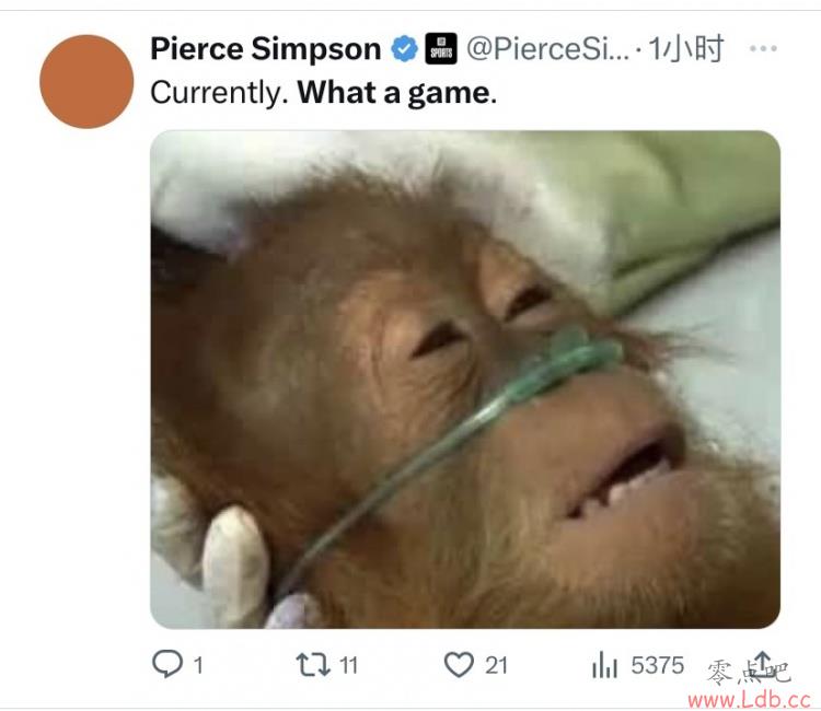 ??̫ţ ѷ׷׾
