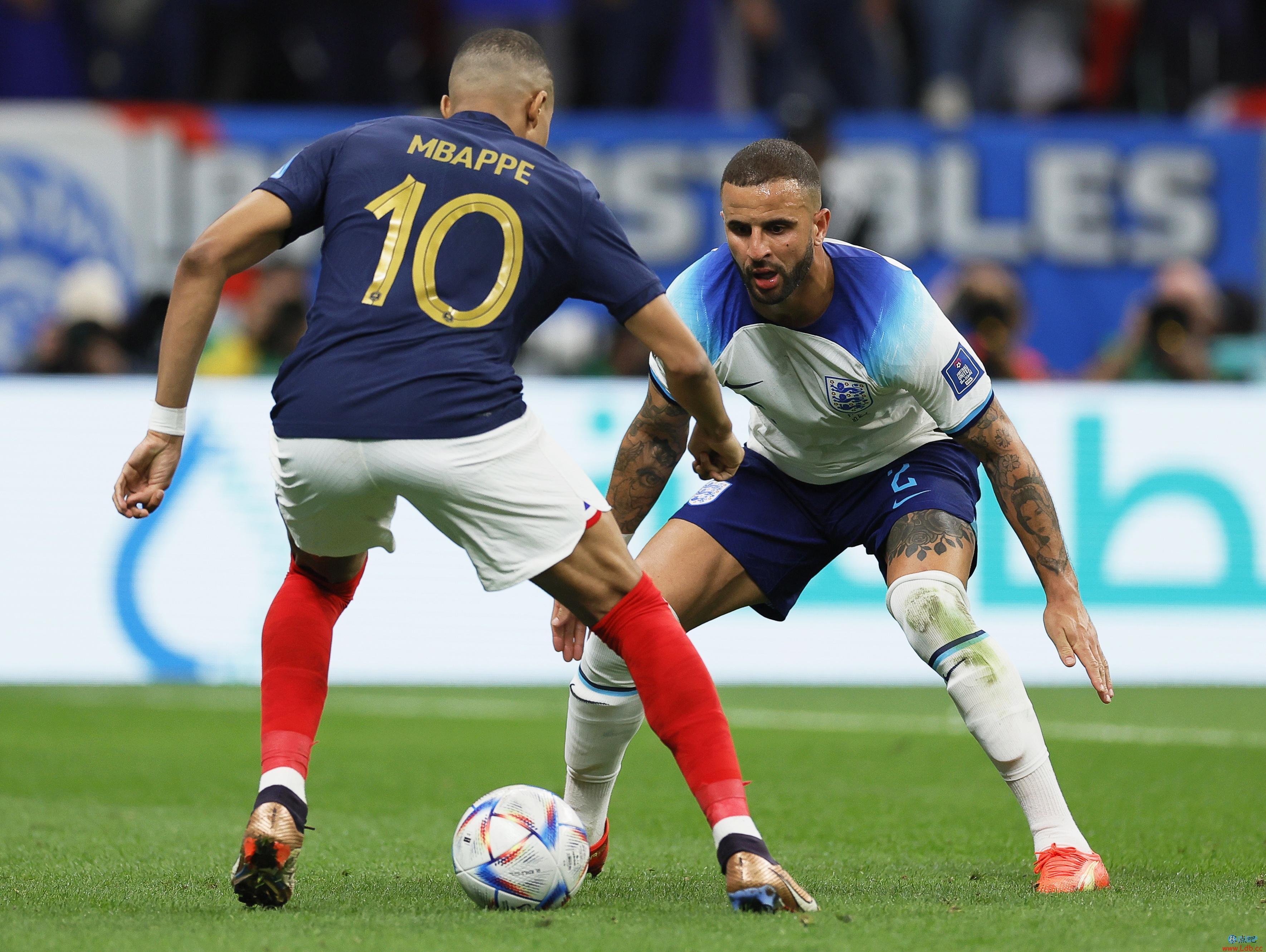 ֿˣȡ2020ŷޱľ ȫֺ֧ɭ