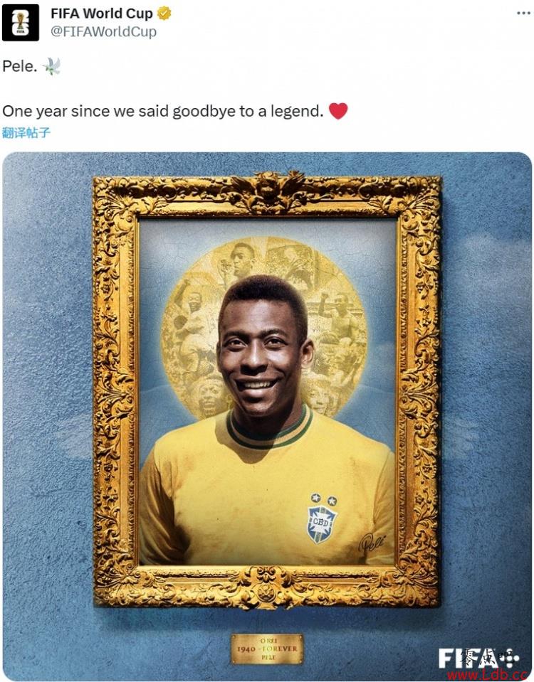 һգFIFAɹ廳