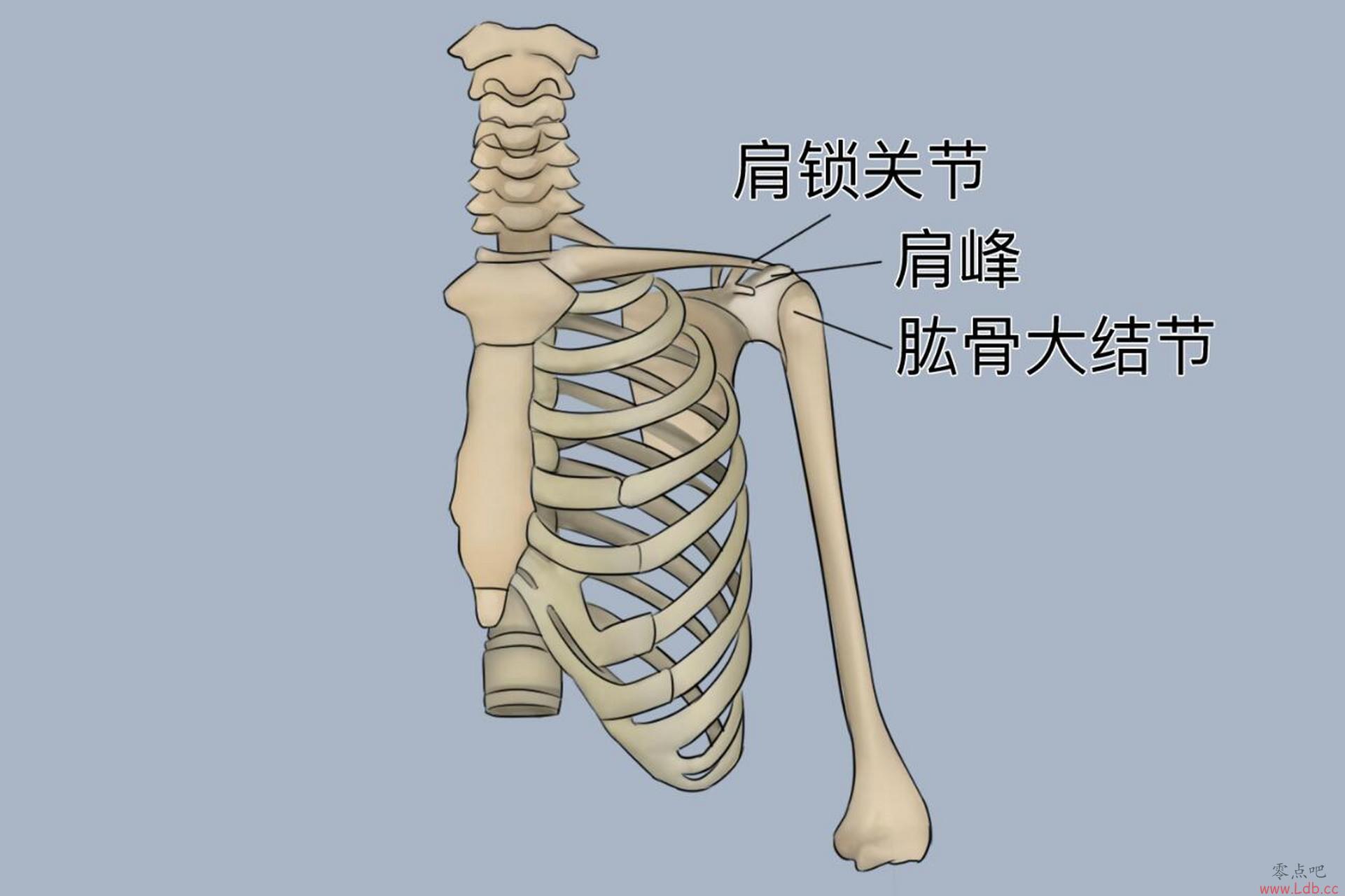 ??ܹٷĪҼACؽһŤ ÿܹ۲죡
