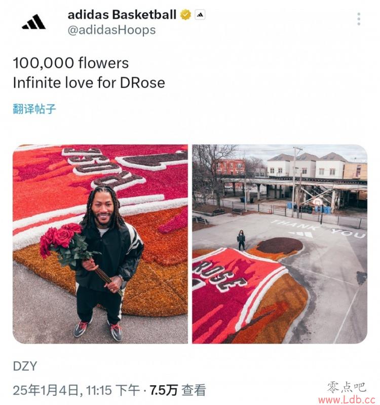 ģϴ˹10õ˹ʾ¾